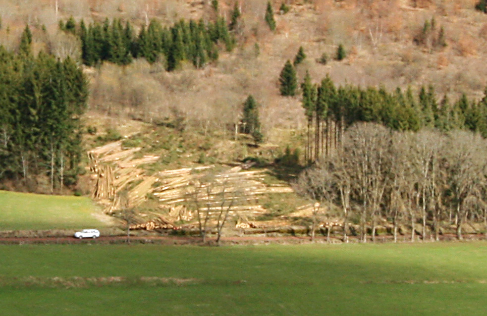 Débardage sur le Mont Bar