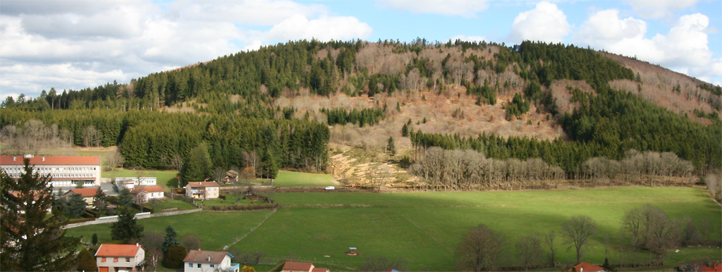 Un nouveaude printemps