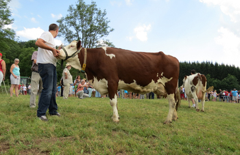 2013-08-06-neira6
