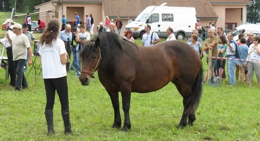 fête de la Neira 2014