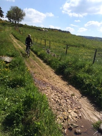 2015-05-24-cooletverte3