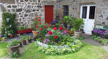 2015-08-23 Composition florale chez un particulier près du mur des remparts.