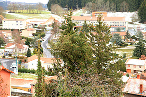 2015-11-28 abattage d'arbres dans Allègre