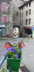 2016-06-12-fleurs2