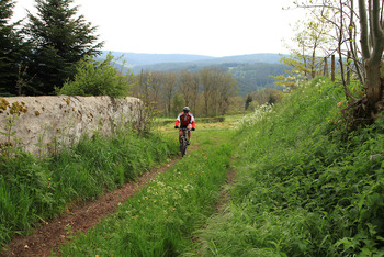 2016-05-22-cool-et-verte-cycliste