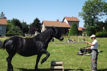 2016-08-08-neira8