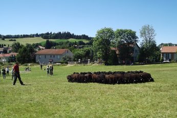 2016-08-08-neira9