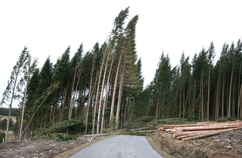 2017-03-07 La tempête Zeus : route barrée vers le village du Got