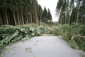 2017-03-07  La tempête Zeus : un véritable barrage d'arbres
