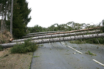 2017-03-07  La tempête Zeus : sur la route de Monlet