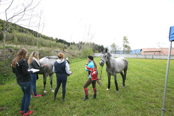 2017-05-13  Equi endurance : contrôle par les vétarinaires