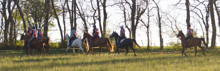 2017-05-20  Equi endurance 43