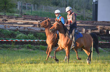 2017-05-20  Equi endurance 43