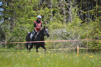 2017-05-20  Equi endurance 43