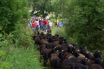 2017-08-07 Fête de la Neira