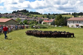 2017-08-07  Fête de la Neira
