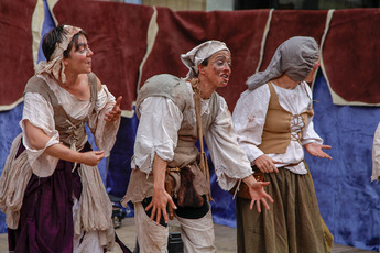 2019 07 20 Fêtes médiévales 2019 : Les gueuses
