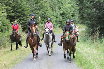 2019 09 12 Equi endurance 43 : Rallye du Mont Bar