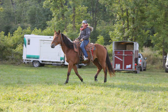 2019 09 12 Equi endurance 43 : Rallye du Mont Bar