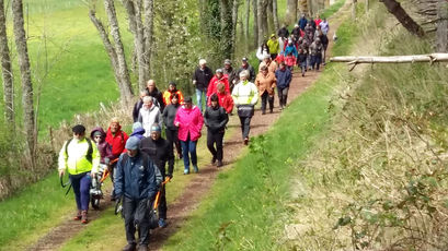 2019 05 12 marche de la Merisaie : au pied du Mont Bar