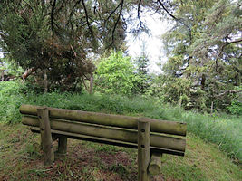 2020 06 04 Pour vous reposer un banc vous attend sur place