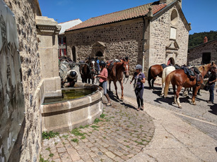 2020 07 12 des chevaux sur le Marchedial