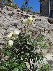 2020 07 19 Place Florimont Tourzet