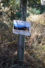 2020 09 12 xposition Alègre Médiéval 