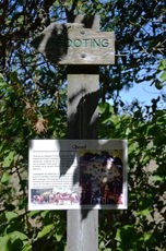 2020 09 12 xposition Alègre Médiéval 