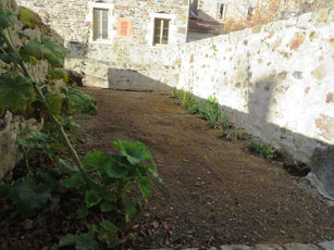 2020 11 03 Place Florimont Tourzet : un jardinet bien entretenu