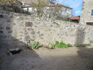 2020 11 03  Place Florimont Tourzet : un jardinet bien entretenu