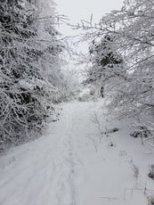 2021 01 06 photo de neige sur le Mont Baury