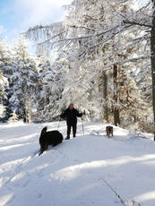 2021 01 06 photo de neige : avez-vous reconnu le personnage ?