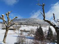 2021 01 11 photo neige, artiste A L