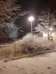 2021 01 12 photo neige R C