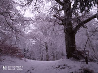 2021 01 14 photo neige M R