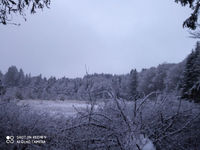 2021 01 14  photo neige M R