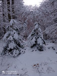 2021 01 14  photo neige M R