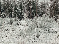 2021 01 14  photo neige M R