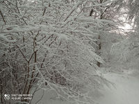2021 01 14  photo neige M R