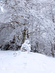 2021 01 14  photo neige M R