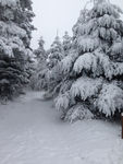 2021 01 15 photo neige F P