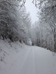 2021 01 15 photo neige F P