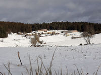 2021 01 18 photo neige OL