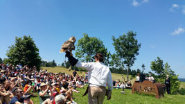 2021 07 18 Fête médiévale : les rapaces à la Potence
