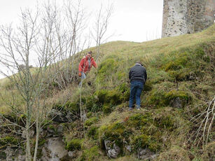 2021 11 06 Supression des frênes sur le site de la Potence