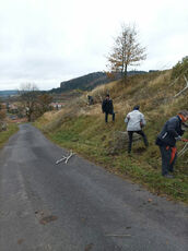 2021 11 06 Supression des frênes sur le site de la Potence