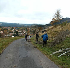 2021 11 06 Supression des frênes sur le site de la Potence