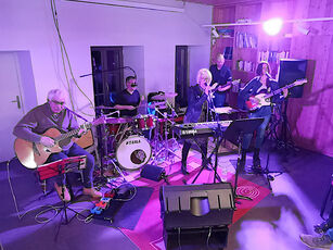 2022 02 19 concert Ti Pots : le groupe