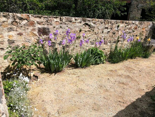 2022 05 27 jardin Florimond Touzet